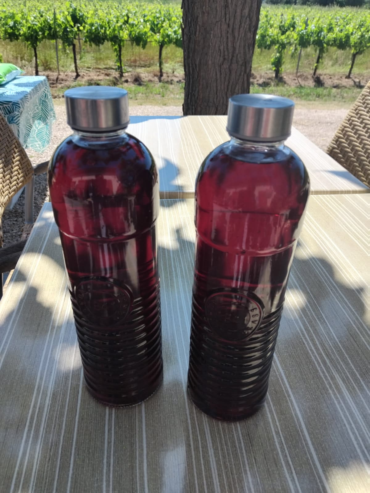 Bissap feuilles d'hibiscus